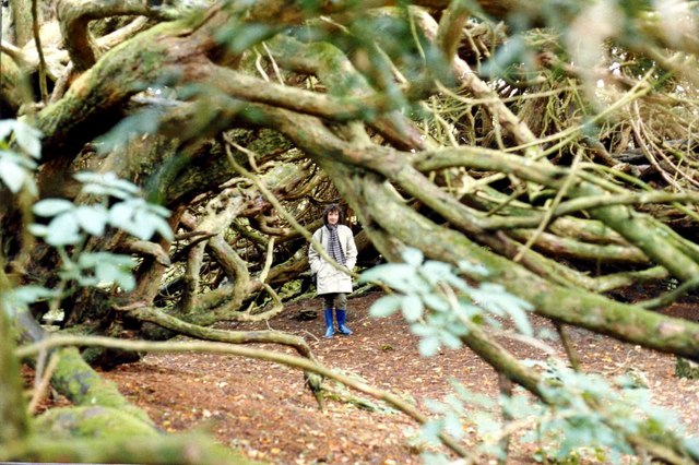 woman in the woods